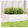 Image de Jardinière blanc 110x110x23 cm bois de pin massif