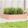 Image de Jardinière 110x110x23 cm bois massif douglas