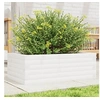 Image de Jardinière blanc 70x40x23 cm bois de pin massif, jardinière d'extérieur, bac à fleurs, boîte à plantes, jardinière de 847219