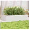 Image de Jardinière blanc 110x60x23 cm bois de pin massif