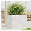 Image de Jardinière blanc 60x60x45,5 cm bois de pin massif, jardinière d'extérieur, bac à fleurs, boîte à plantes, jardinière 847249