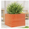 Image de Jardinière cire marron 60x60x45,5 cm bois de pin massif, jardinière d'extérieur, bac à fleurs, boîte à plantes, 847250