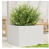 Image de Jardinière blanc 70x70x45,5 cm bois de pin massif, jardinière d'extérieur, bac à fleurs, boîte à plantes, jardinière 847254