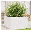 Image de Jardinière blanc 80x80x45,5 cm bois de pin massif