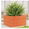 Image de Jardinière cire marron 80x80x45,5 cm bois de pin massif