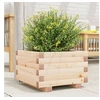 Image de Jardinière 40x40x26,5 cm bois de pin massif