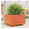 Image de Jardinière cire marron 40x40x26,5 cm bois de pin massif