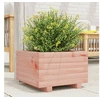Image de Jardinière 40x40x26,5 cm bois massif douglas, jardinière d'extérieur, bac à fleurs, boîte à plantes, jardinière de 847291