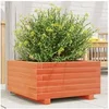 Image de Jardinière cire marron 50x50x26,5 cm bois de pin massif