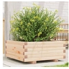 Image de Jardinière 60x60x26,5 cm bois de pin massif