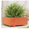 Image de Jardinière cire marron 60x60x26,5 cm bois de pin massif