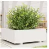 Image de Jardinière blanc 70x70x26,5 cm bois de pin massif