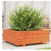 Image de Jardinière cire marron 70x70x26,5 cm bois de pin massif