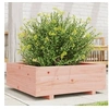 Image de Jardinière 70x70x26,5 cm bois massif douglas