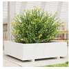 Image de Jardinière blanc 80x80x26,5 cm bois de pin massif