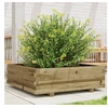 Image de Jardinière 80x80x26,5 cm bois de pin imprégné