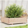 Image de Jardinière 90x90x26,5 cm bois de pin massif847313