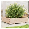 Image de Jardinière 100x100x26,5 cm bois de pin massif847318