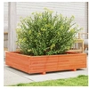 Image de Jardinière cire marron 100x100x26,5 cm bois de pin massif