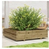 Image de Jardinière 100x100x26,5 cm bois de pin imprégné