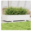 Image de Jardinière blanc 110x60x26,5 cm bois de pin massif847349
