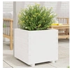 Image de Jardinière blanc 50x50x49,5 cm bois de pin massif, jardinière d'extérieur, bac à fleurs, boîte à plantes, jardinière 847354