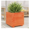 Image de Jardinière cire marron 50x50x49,5 cm bois de pin massif