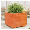 Image de Jardinière cire marron 60x60x49,5 cm bois de pin massif