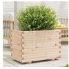 Image de Jardinière 70x40x49,5 cm bois de pin massif, jardinière d'extérieur, bac à fleurs, boîte à plantes, jardinière de 847368