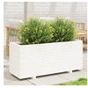 Image de Jardinière blanc 110x40x49,5 cm bois de pin massif847379