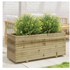 Image de Jardinière 110x40x49,5 cm bois de pin imprégné