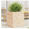 Image de Plantenbak 40x40x46 cm massief grenenhout3282399