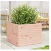 Image de Jardinière 60x60x46 cm bois massif de douglas