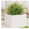 Image de Jardinière blanc 70x70x46 cm bois de pin massif