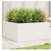 Image de Jardinière blanc 100x100x46 cm bois de pin massif