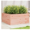 Image de Jardinière 100x100x46 cm bois massif de douglas