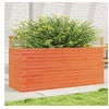 Image de Jardinière cire marron 110x40x46 cm bois de pin massif