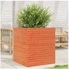 Image de Jardinière cire marron 60x60x68,5 cm bois de pin massif