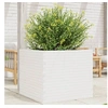 Image de Jardinière blanc 80x80x68,5 cm bois de pin massif