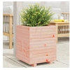 Image de Jardinière 40x40x49,5 cm bois massif douglas, jardinière d'extérieur, bac à fleurs, bac à tomates, jardinière de 3282512