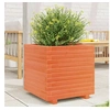 Image de Jardinière cire marron 50x50x49,5 cm bois de pin massif