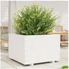Image de Jardinière blanc 70x70x49,5 cm bois de pin massif