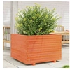 Image de Jardinière cire marron 70x70x49,5 cm bois de pin massif