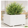 Image de Jardinière blanc 80x80x49,5 cm bois de pin massif