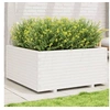 Image de Jardinière blanc 100x100x49,5 cm bois de pin massif