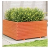 Image de Jardinière cire marron 100x100x49,5 cm bois de pin massif