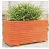 Image de Jardinière cire marron 90x40x49,5 cm bois de pin massif