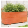 Image de Jardinière cire marron 110x40x49,5 cm bois de pin massif