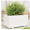 Image de Jardinière blanc 90x60x49,5 cm bois de pin massif, jardinière d'extérieur, bac à fleurs, bac à tomates, jardinière de 3282565