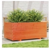 Image de Jardinière cire marron 110x60x49,5 cm bois de pin massif